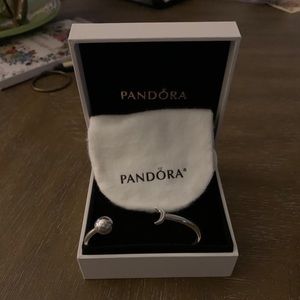 Pandora Limited Edition Bangle Bracelet